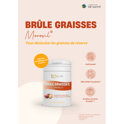 Brûleur de Graisse Morosil® | Perte de Poids & Minceur