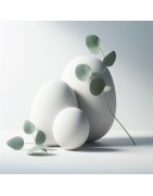 Compléments alimentaires ciblés : Sommeil, Stress, Tonus