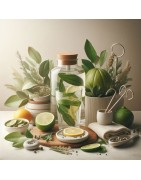 Brûle-Graisse & Draineur Minceur | Synergie Ligne