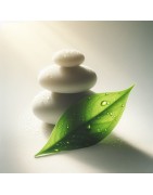 Compléments Immunité & Vitalité pour Réduire la Fatigue